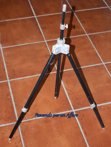 Treppiede rod pod carp - treppiede-rod,