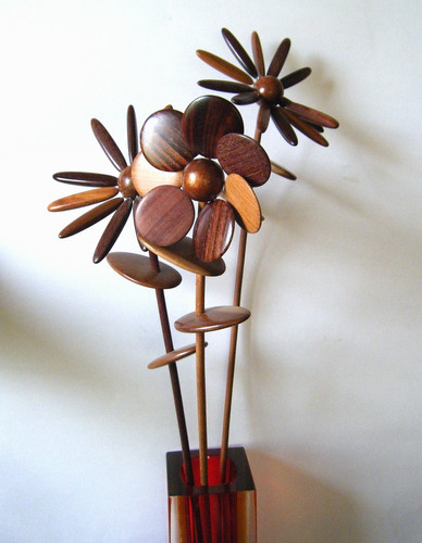 Long flower stems - 3, teak